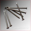Polished Common Iron Nails 3 Inch for Construction